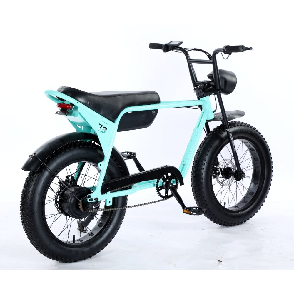Off-road Electric Mountain Bike 500W 750W 48V 15.6Ah Ebike Electric Fat Tire Bicycle 20inch Mountain E bike