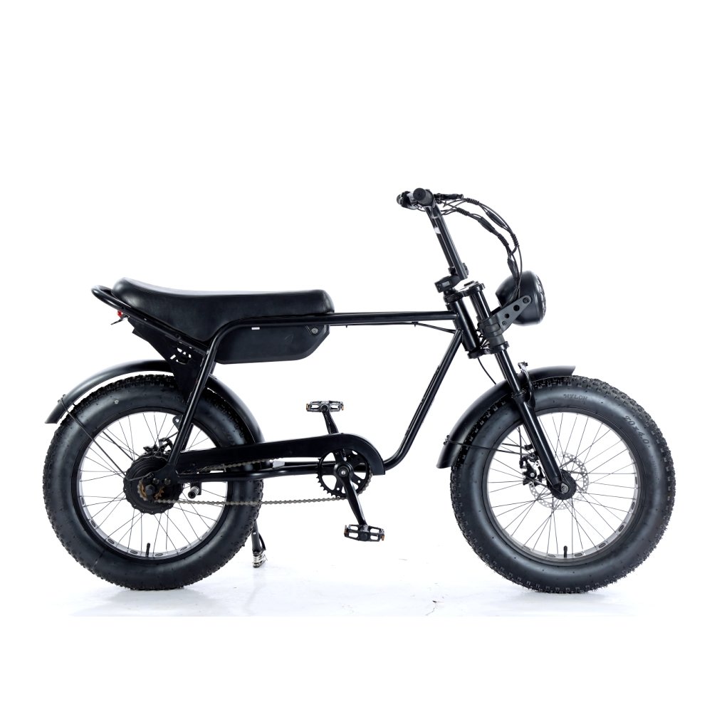 Off-road Electric Mountain Bike 500W 750W 48V 15.6Ah Ebike Electric Fat Tire Bicycle 20inch Mountain E bike