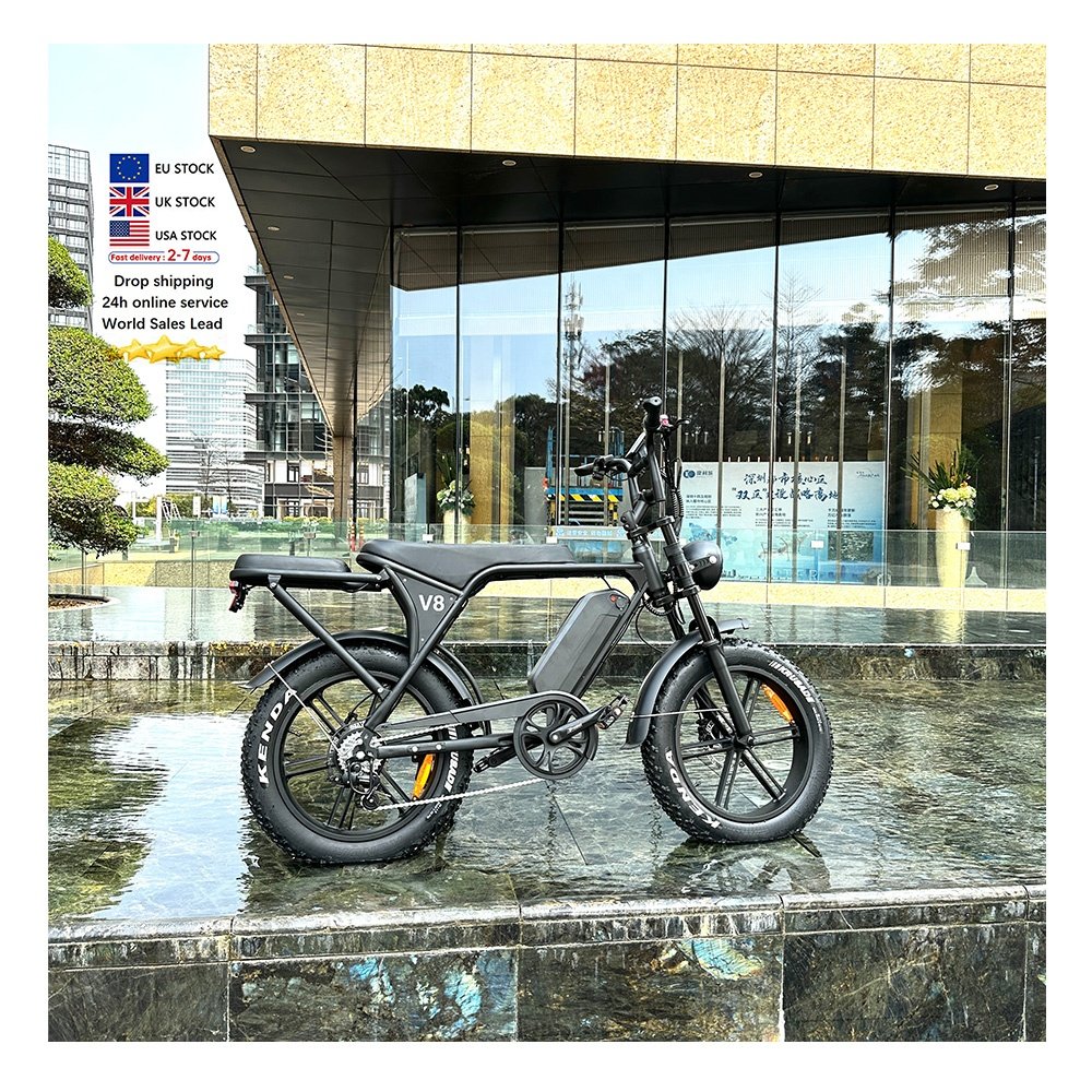 elektro bike cruiser bike V8 3.0 moto electrica dual motor kit dual motorbike 250w mountain motorcycle electric bike city