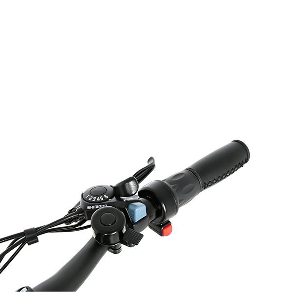 Holland Uk Dutch Easy Hidden Removable Battery Street Road Legal Retro Hub E City Men 28 700C Urban Electric Bike