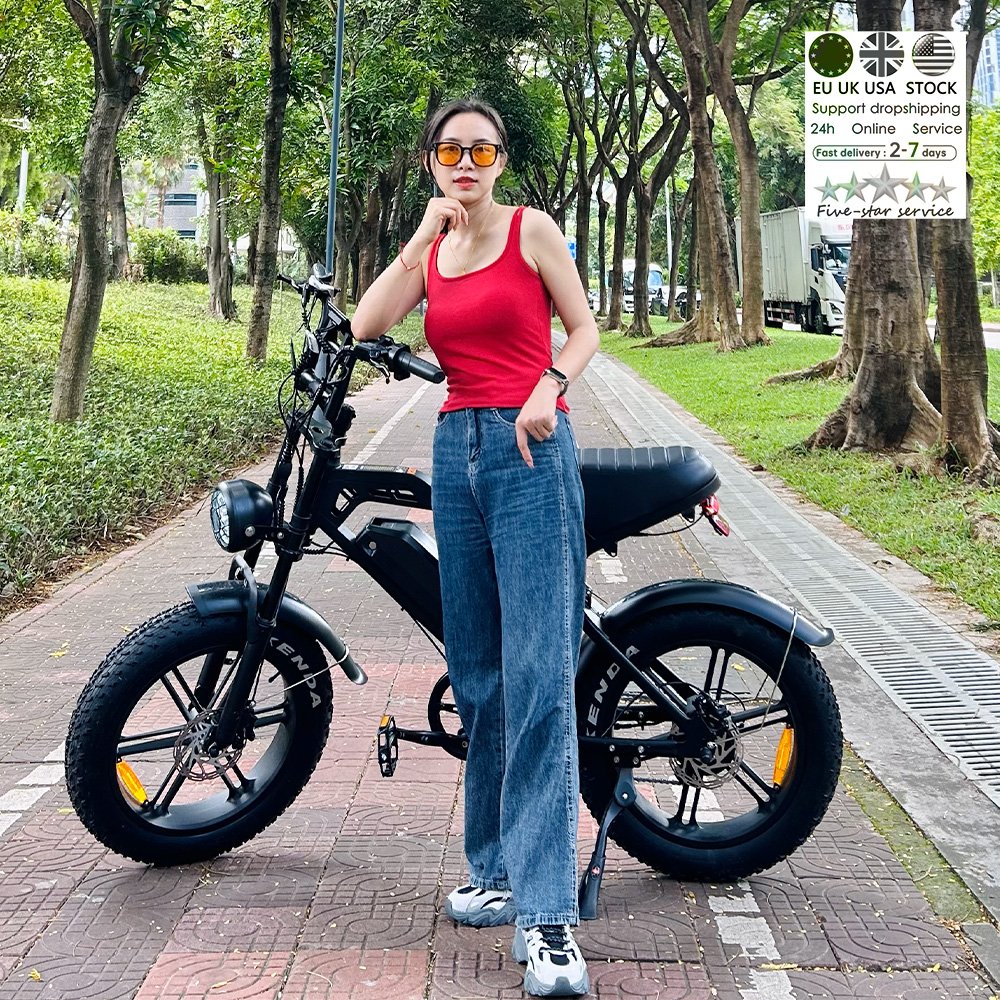 V20 e-bike Fat Tire 20inch Super Ebike Off-road bike sport Fatbike V20 Electric e bike City Electric mountain Bike 250W E-bike