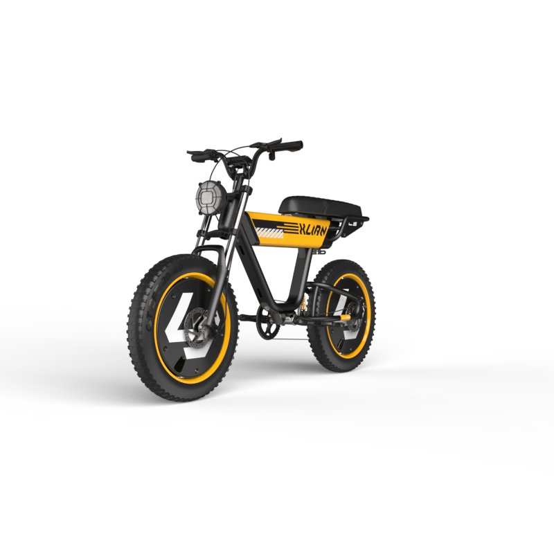 80KM Range 750W 20 inch fat dirt electric bicycle Top Speed 32mph 48V15AH Electric Motorcycle Bicycle high quality ebike