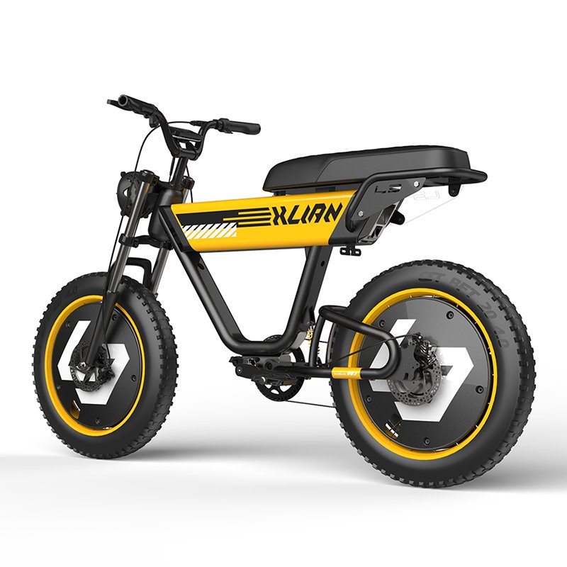 80KM Range 750W 20 inch fat dirt electric bicycle Top Speed 32mph 48V15AH Electric Motorcycle Bicycle high quality ebike