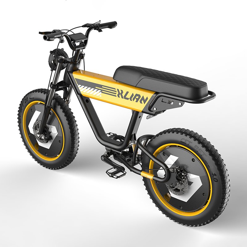 80KM Range 750W 20 inch fat dirt electric bicycle Top Speed 32mph 48V15AH Electric Motorcycle Bicycle high quality ebike