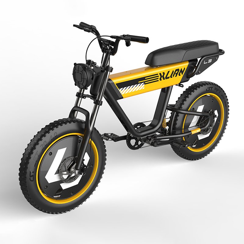 80KM Range 750W 20 inch fat dirt electric bicycle Top Speed 32mph 48V15AH Electric Motorcycle Bicycle high quality ebike