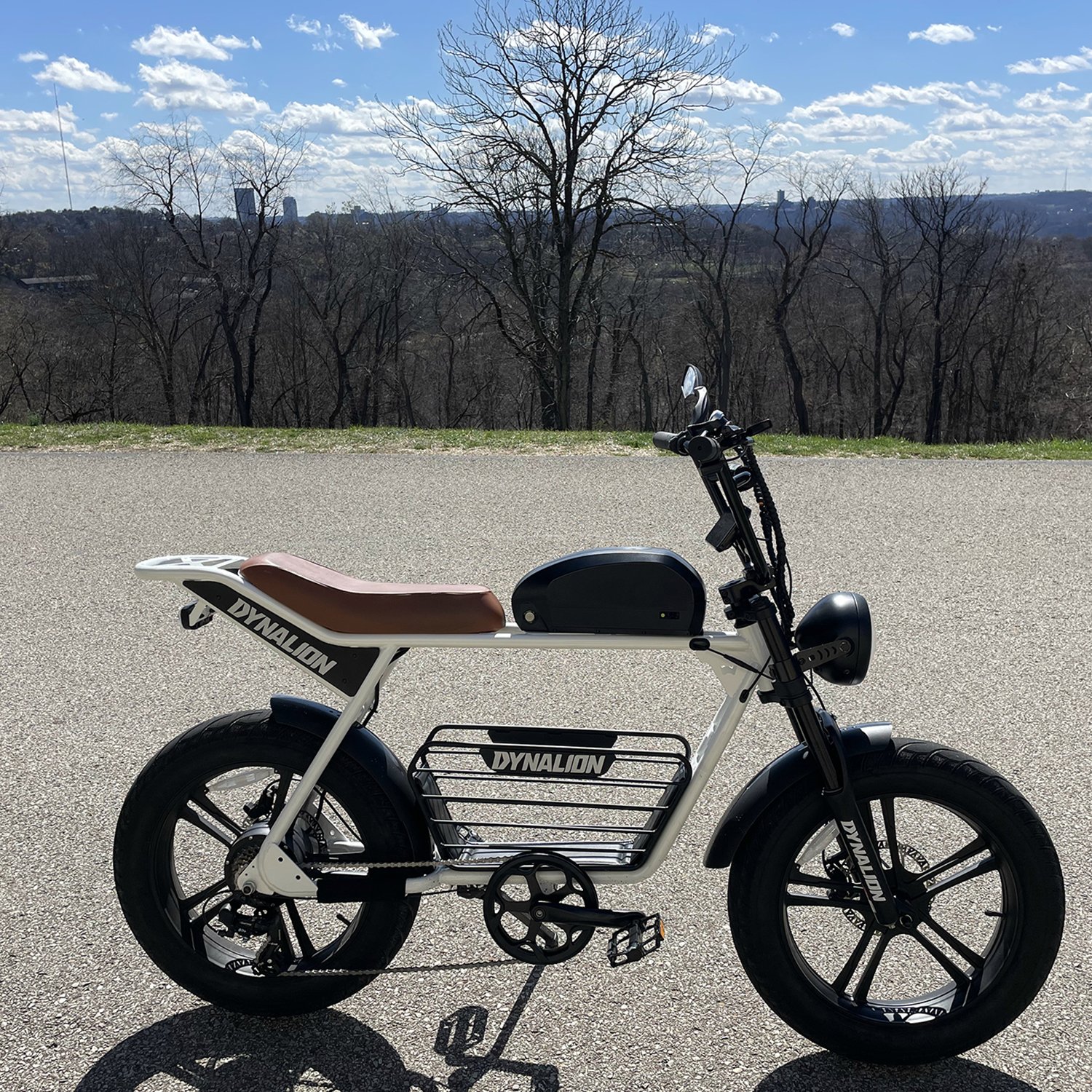 US Warehouse Hot Selling Long Range High Speed Fat E Bike Mountain E Bike Electric Dirt Bike For Adults