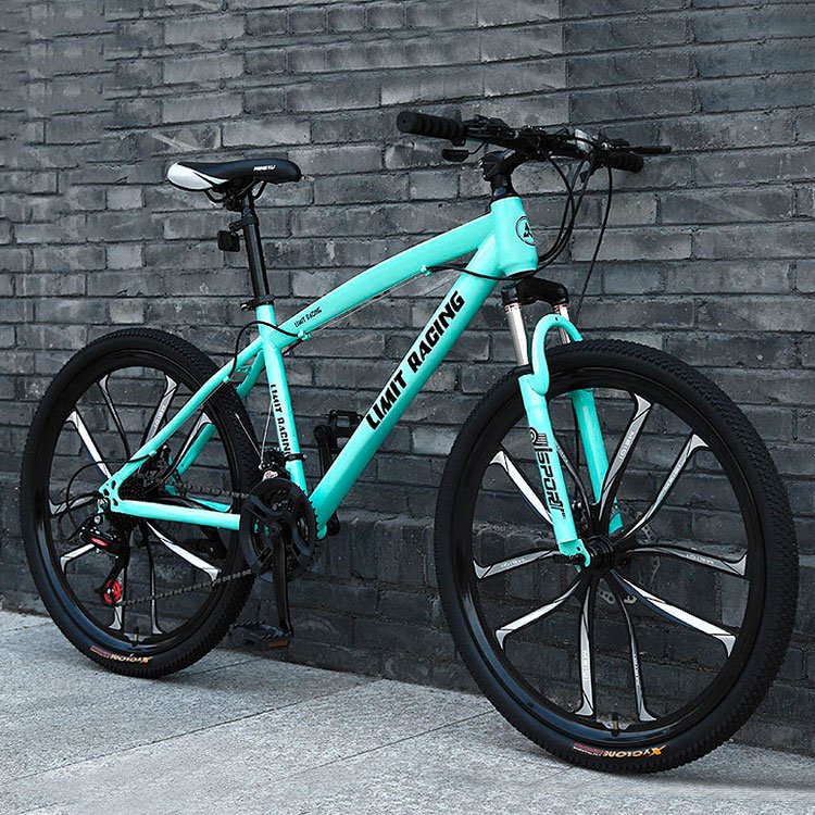 Outdoor fitness sports Road car variable speed student adult shock absorption mountain bike