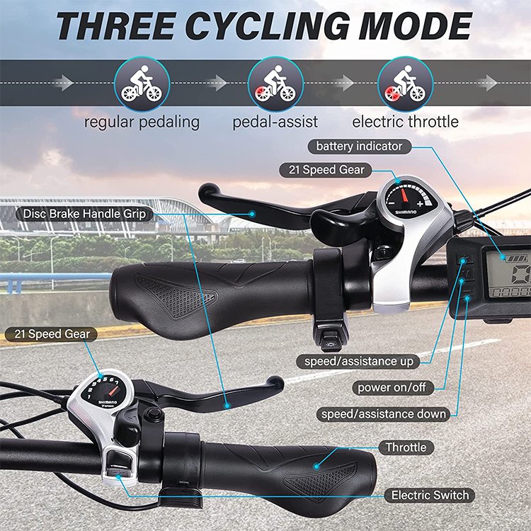 2020 Hottest Electric Bike Electric Bike 29'' Tire Aluminum Frame Electric Beach Cruiser Bike Electric Bicycle