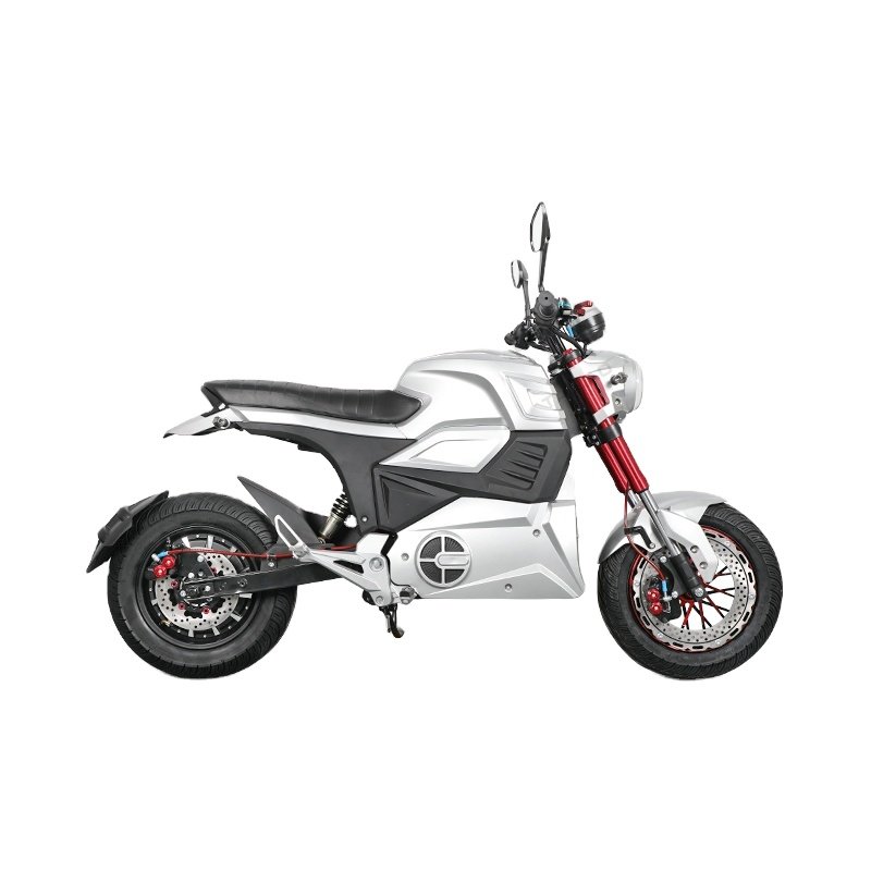 Hot selling 1500W Powerful M6 Electric Motorcycle for Adults