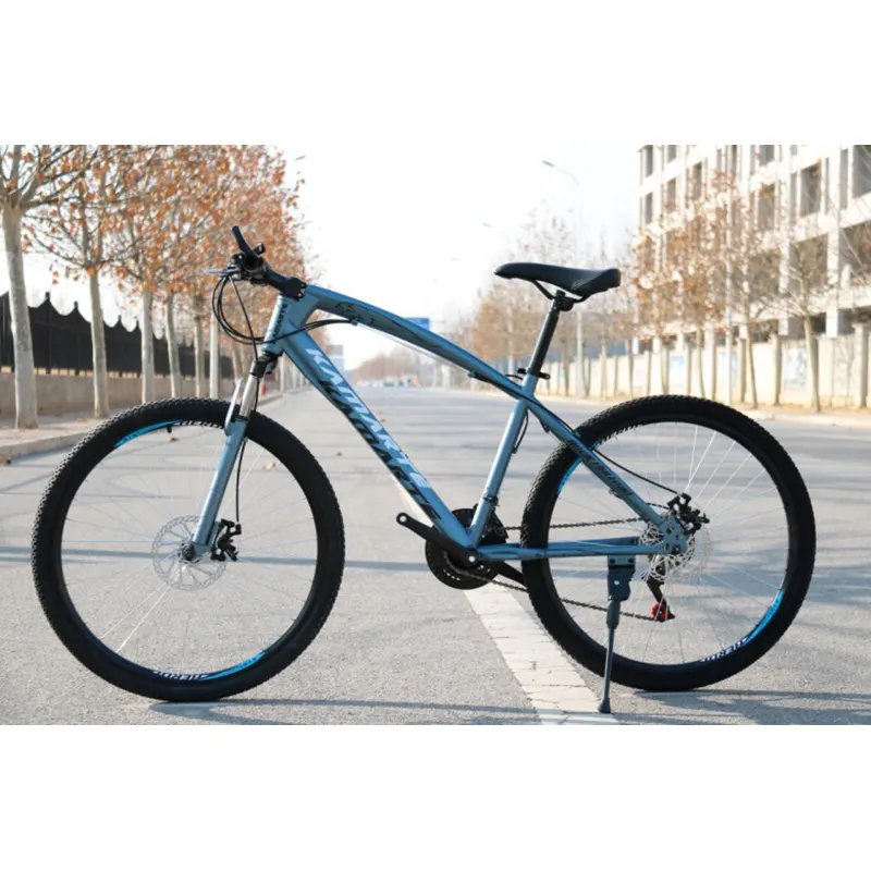 26" 21 speed cycle cheap adult Bike bicycles for women man mountain bike