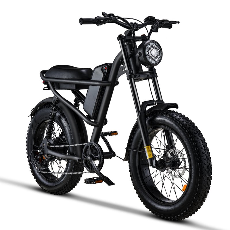Fat Tire City Other Mountain Dirt 1000w Bikes Electric Bike for Men Cheap Scooters Conversion Kit 750w Electric Bike