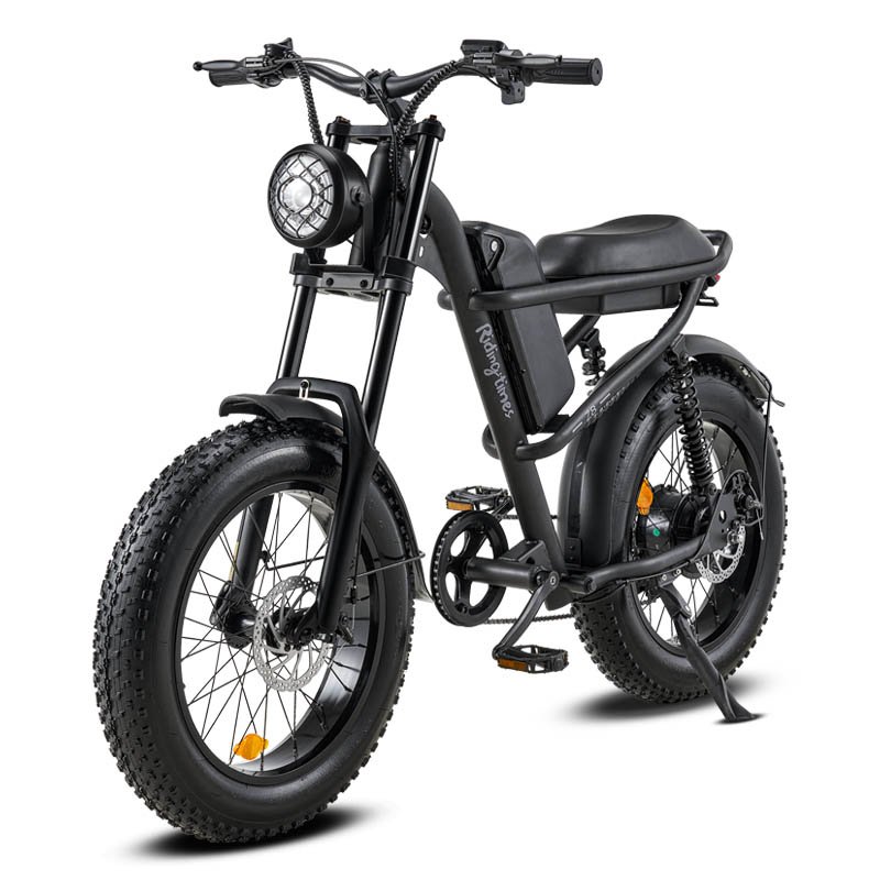 Fat Tire City Other Mountain Dirt 1000w Bikes Electric Bike for Men Cheap Scooters Conversion Kit 750w Electric Bike