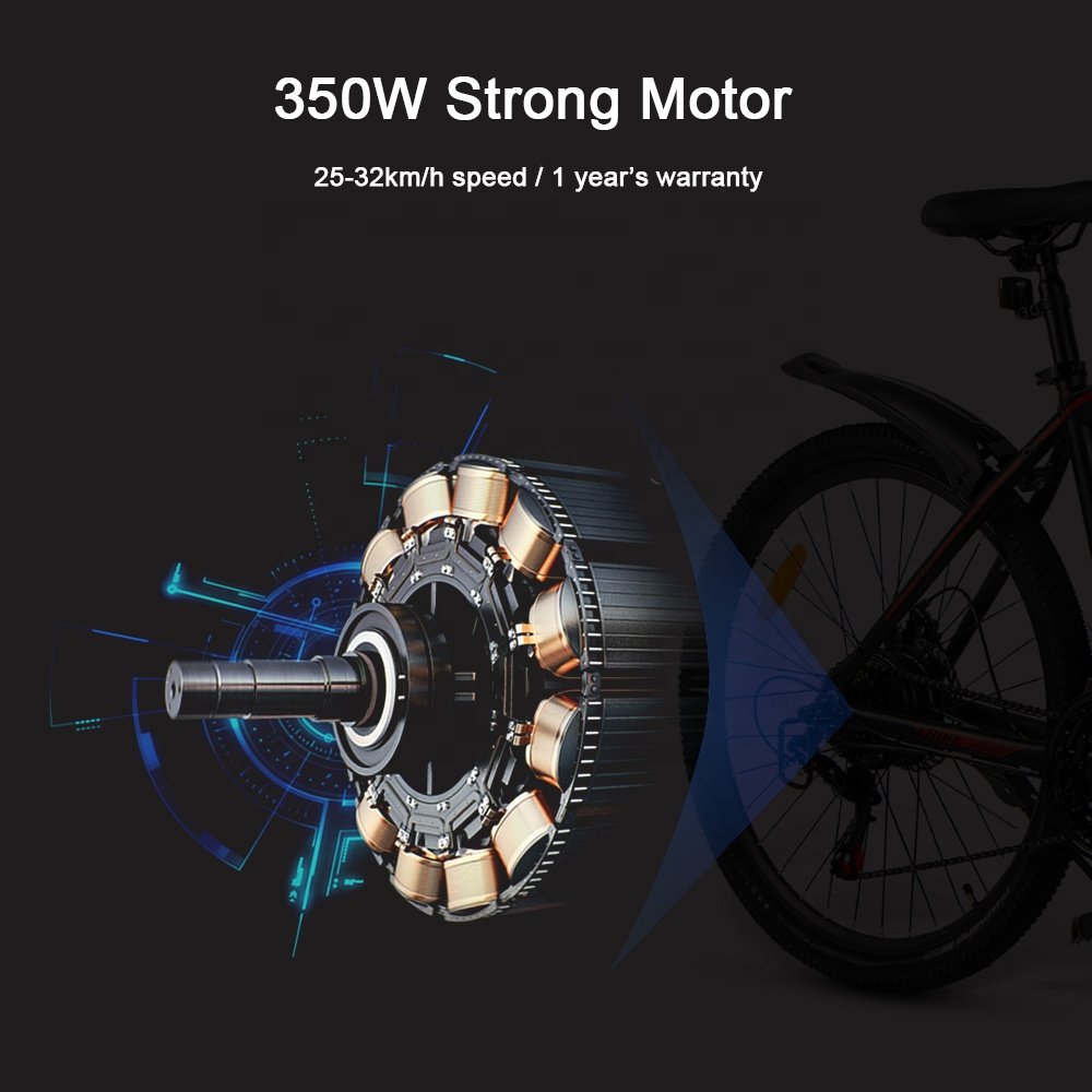 2024 RTS Dutch Electric 36V 250W350W Plegable Aluminum The City Power E Bike Men Cheap 250w Ebike Mtb Bicycle For Adults