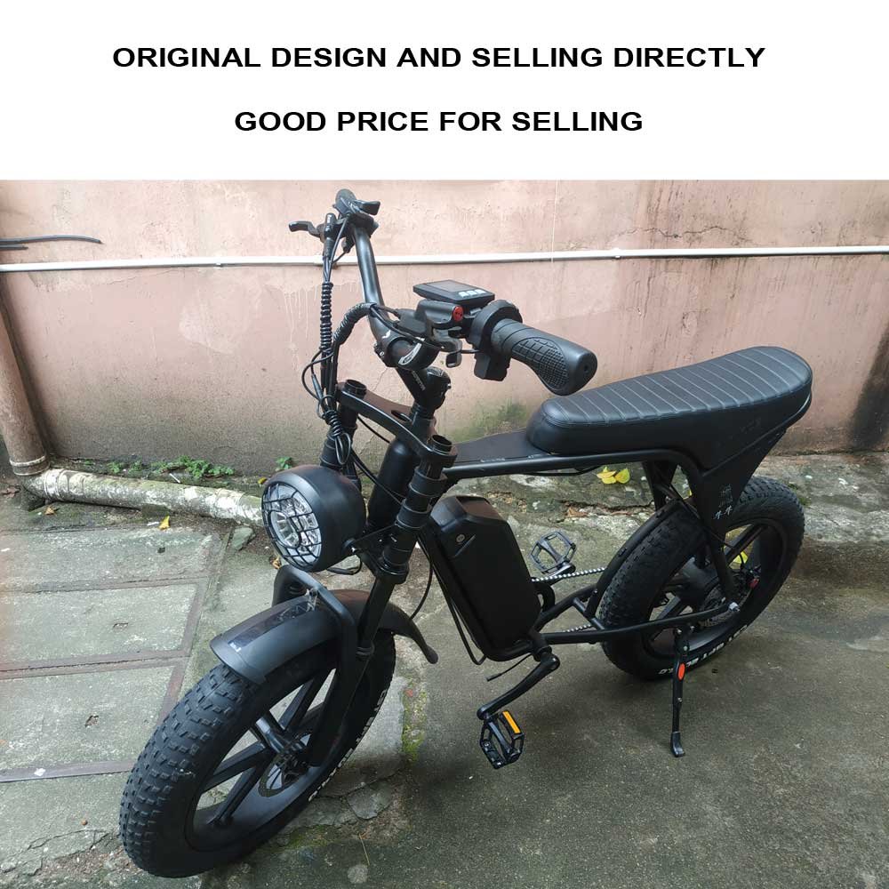 2024 hotsale fat tires 20inch 750w 1000w 48v 15ah 50km/h electric city road bike sending from china