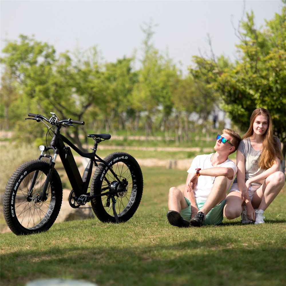 Vtuvia LCD Display 250W 750W 36V 48V 45km/h Max Speed mountain electric bicycle fat tire e bike with Shimano Derailleur