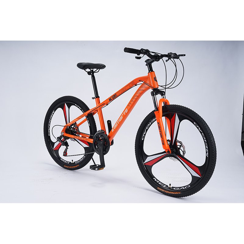 Mountain bike adult bike 24 inch variable speed one wheel double disc brake bike