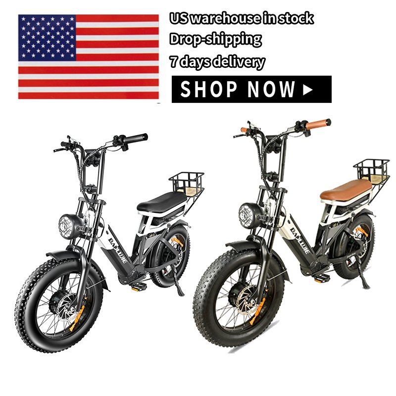 US Warehouse 48v30ah Tube Battery Aluminum Alloy Electronic Adults 2000W Lithium Battery 48V Electric City Bike Electronic Moto