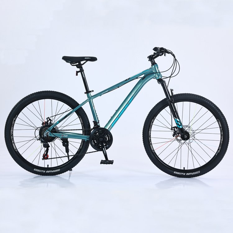 Tianjin Wholesale Price 21 Speed BMX Bicicleta Downhill Bicycle 24 26 29 inch Trek Adult Cycle Mountain Bike for Men