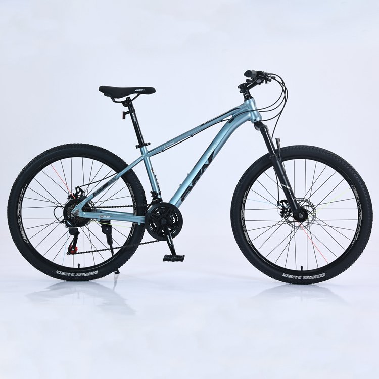 Tianjin Wholesale Price 21 Speed BMX Bicicleta Downhill Bicycle 24 26 29 inch Trek Adult Cycle Mountain Bike for Men