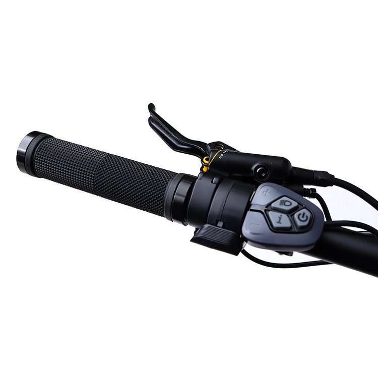 Lithium Battery Aluminium alloy Frame Electric Mountain Bike step through ebike two wheel electric cycle