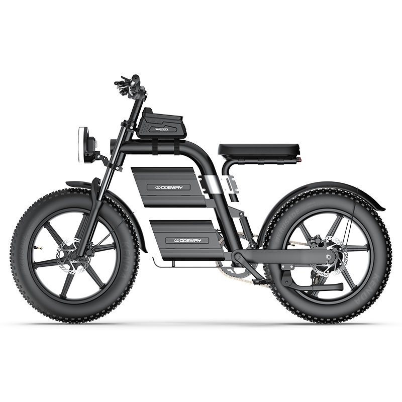 Factory price Powerful 20 inch Fat Tire electric bicycle 60V/2000W Adults Electric Hybrid Bike Electric Mountain Fat Tire