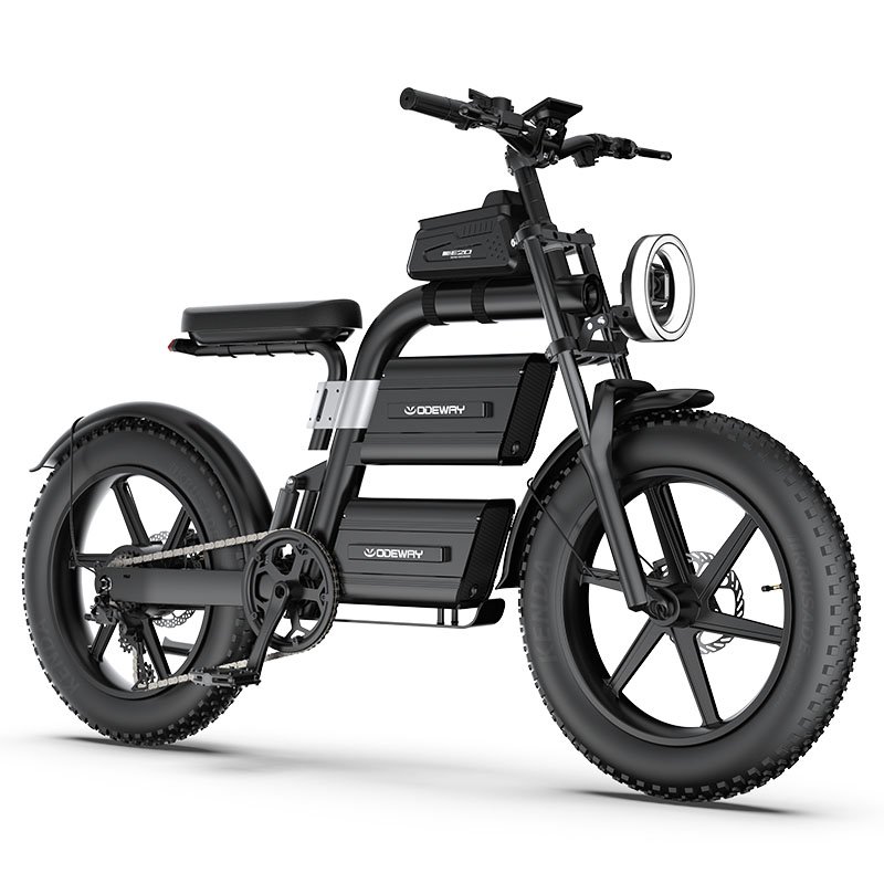 Factory price Powerful 20 inch Fat Tire electric bicycle 60V/2000W Adults Electric Hybrid Bike Electric Mountain Fat Tire