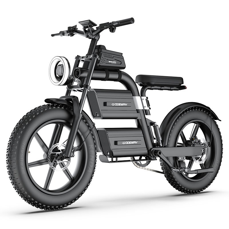 Factory price Powerful 20 inch Fat Tire electric bicycle 60V/2000W Adults Electric Hybrid Bike Electric Mountain Fat Tire