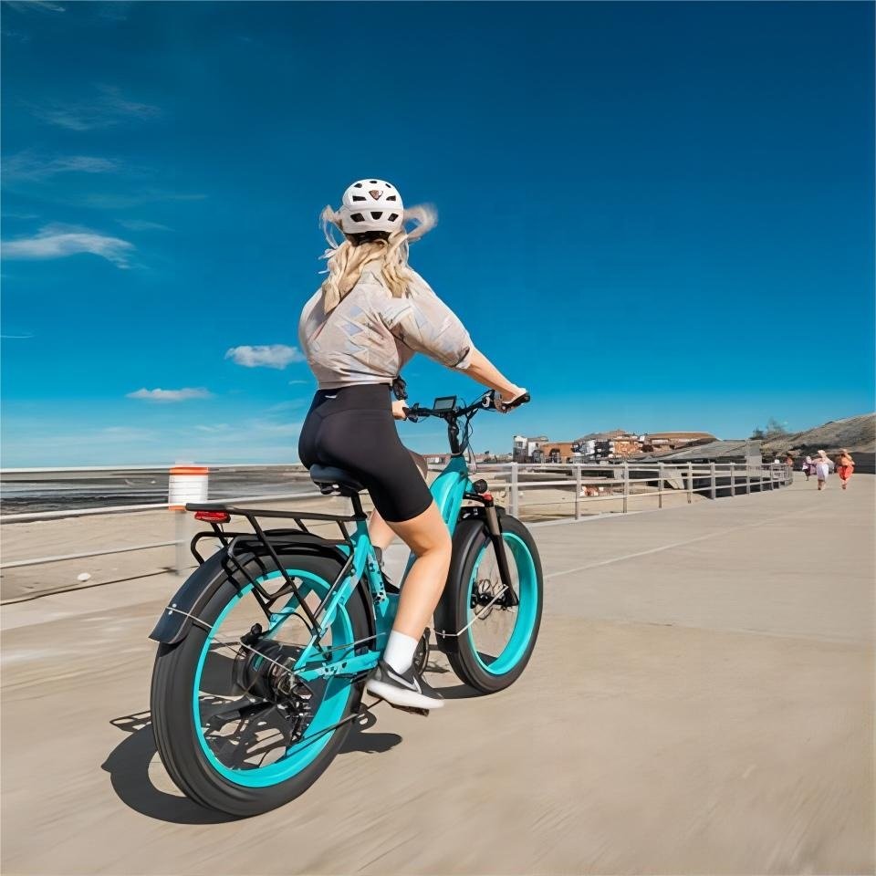 Equipped 26 Inch Fat Tire Support Multi-Terrain Riding Using 750W Bafang Motor Powerful Adult Electric City Bike