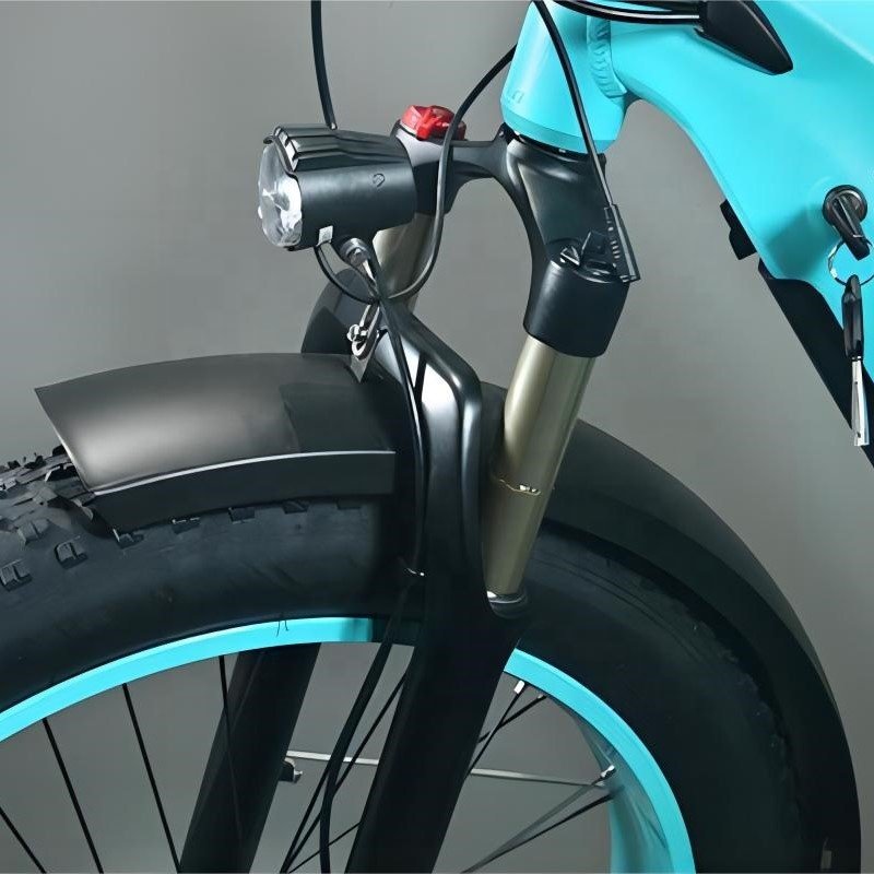 Equipped 26 Inch Fat Tire Support Multi-Terrain Riding Using 750W Bafang Motor Powerful Adult Electric City Bike