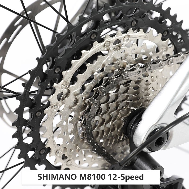ALVAS SPIDER CLS Carbon Fiber M8100 12 speed 29 "general purpose mountain bike