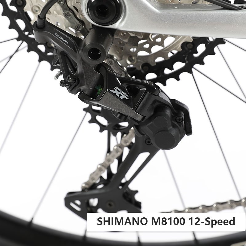ALVAS SPIDER CLS Carbon Fiber M8100 12 speed 29 "general purpose mountain bike