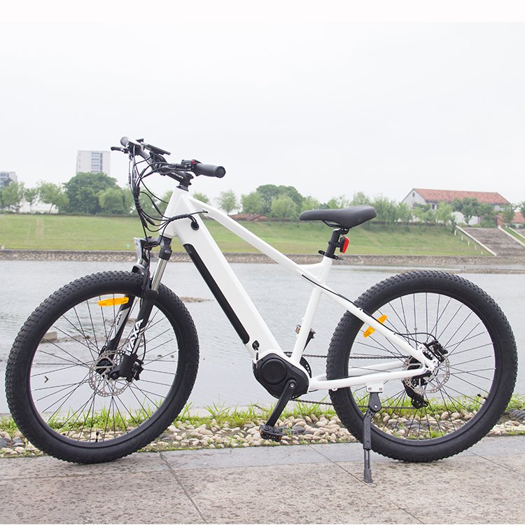 48V500W mid drive motor Electric Bike E-Bike with 10 speed freewheel