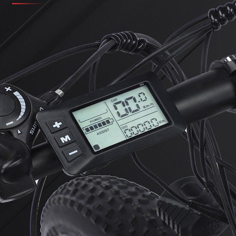 Factory hot selling FRIKE electric bike 36V/48V electric mountain bike for adult fat tire electric bike