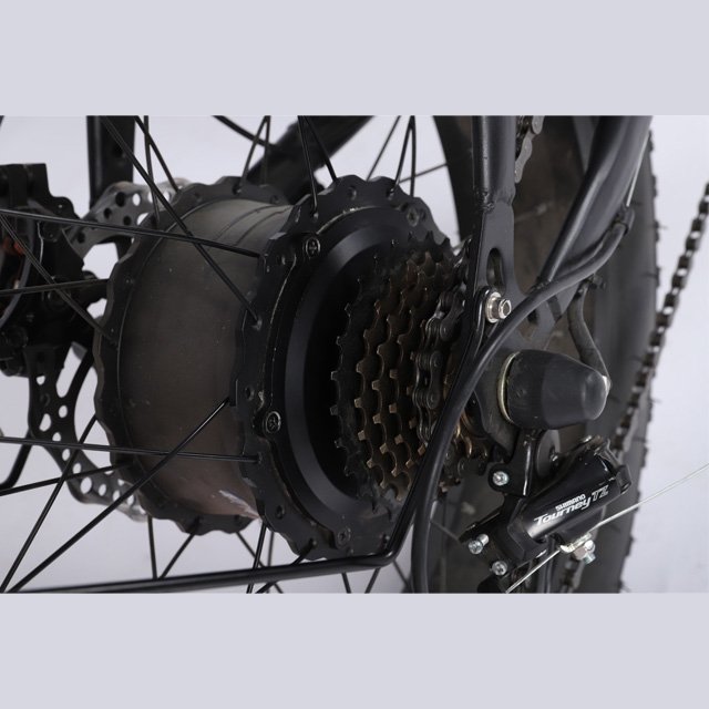 High Quality 20 Inch Iron Portable Folding Electric Bicycle Electric Bicycle