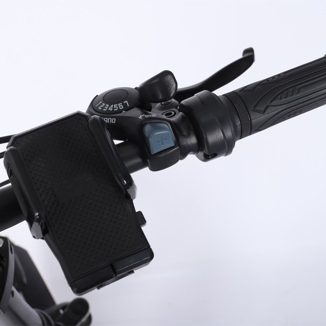 High Quality 20 Inch Iron Portable Folding Electric Bicycle Electric Bicycle