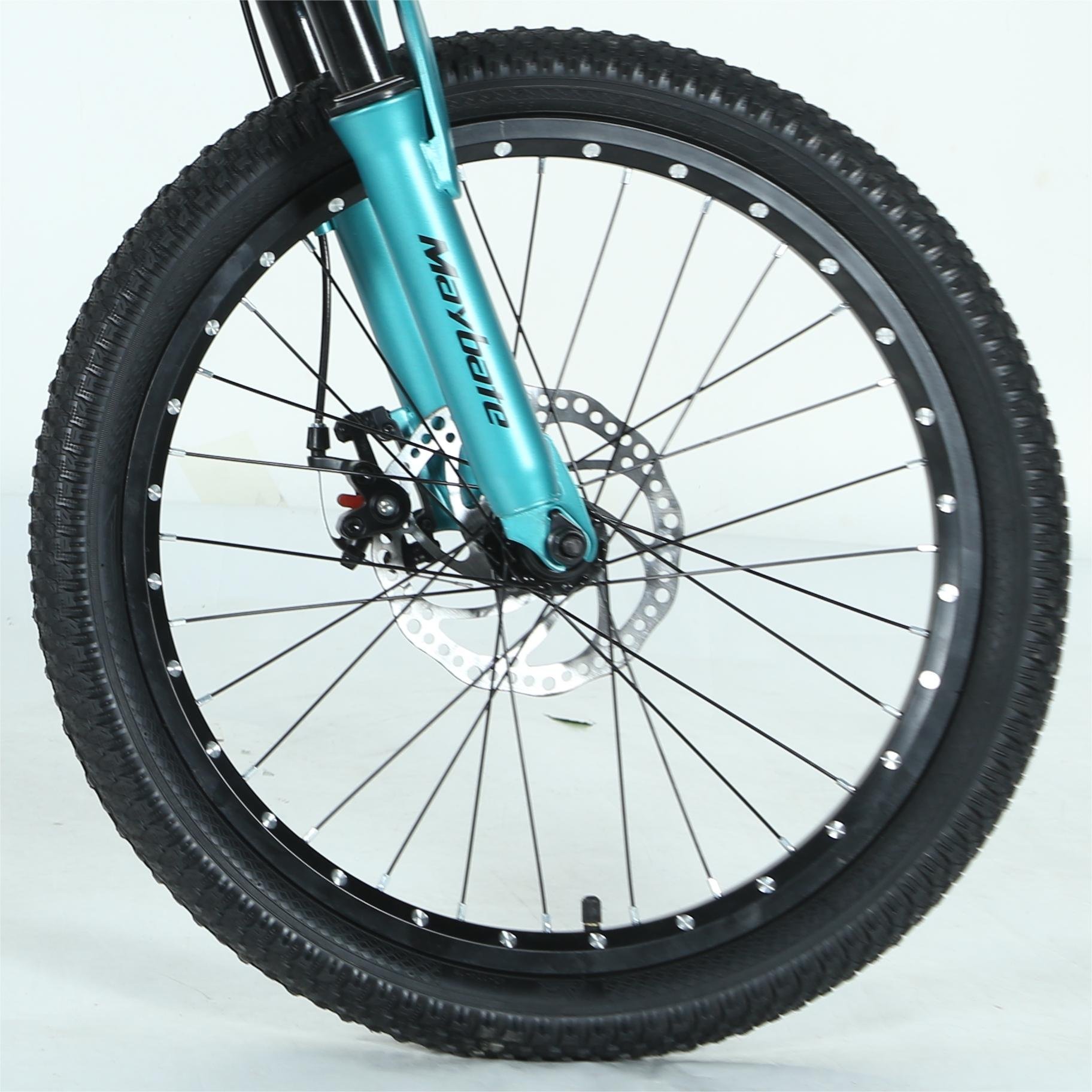 HAIMA Single Speed Speed Kids Racing Student Mountain Bike Disc Brake System Ordinary Pedal Steel Fork Available for Sale