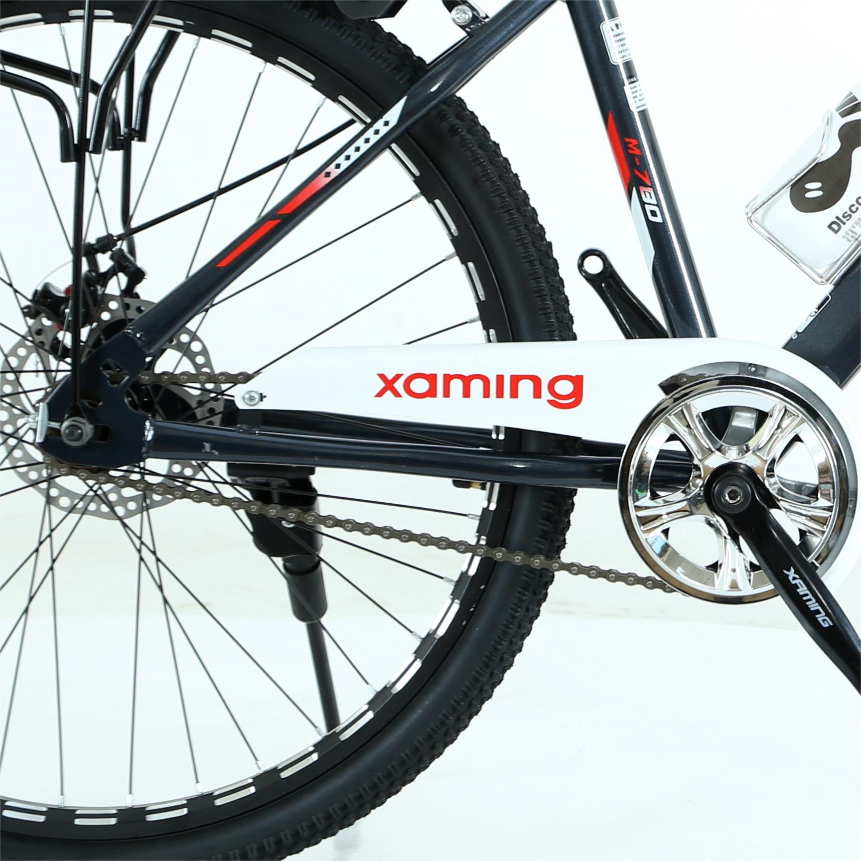 Factory Sale Good Price Road Mountain single Speed Bicycle Youth Adult Sports To Work And School Use