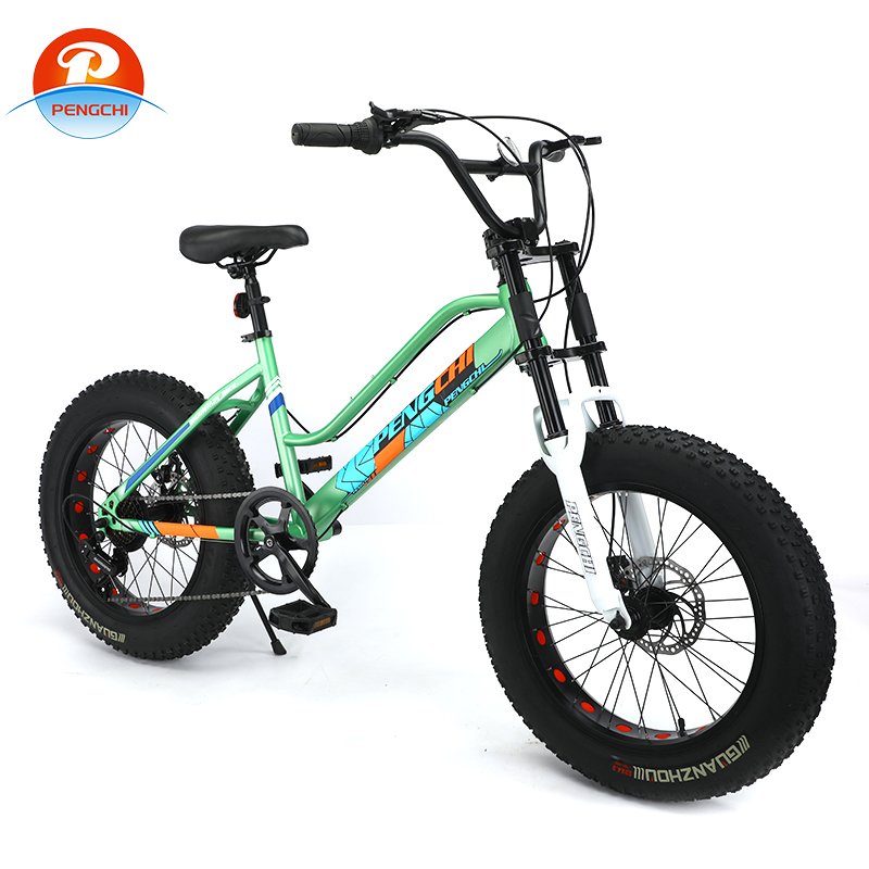 hot selling style fat tire mountain bike 4.0 tire snow bike fat tire mountain Other Bike