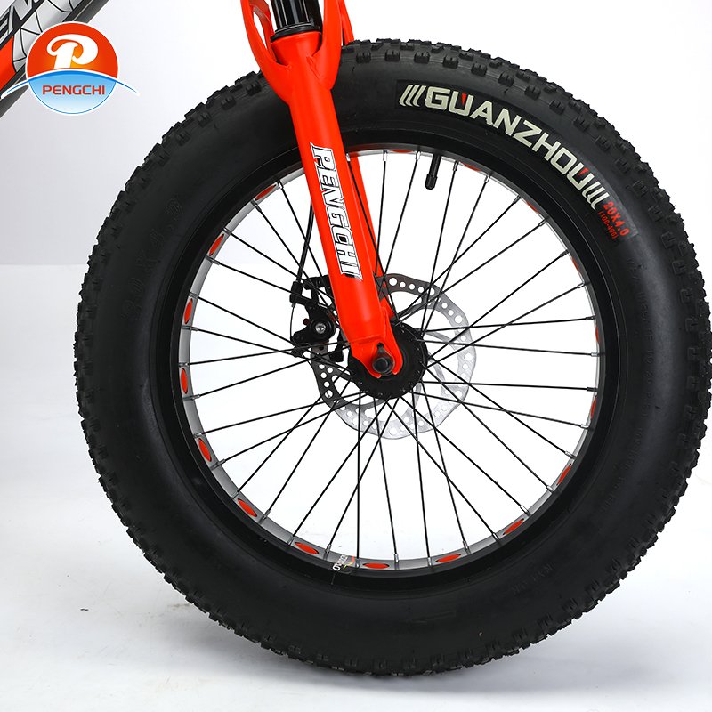 hot selling style fat tire mountain bike 4.0 tire snow bike fat tire mountain Other Bike