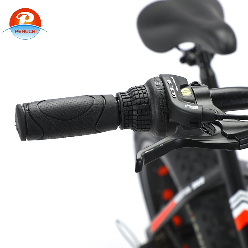 hot selling style fat tire mountain bike 4.0 tire snow bike fat tire mountain Other Bike
