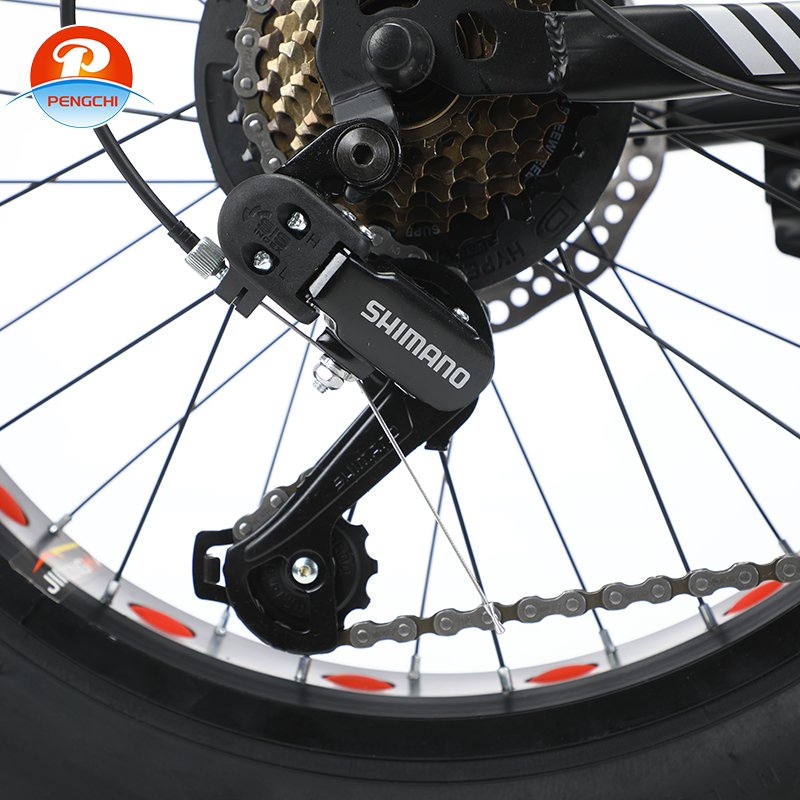 hot selling style fat tire mountain bike 4.0 tire snow bike fat tire mountain Other Bike