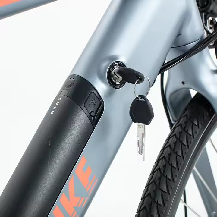 European Factory 36V 14Ah Smart Digital Electric City Bike with 7 Speed Gears