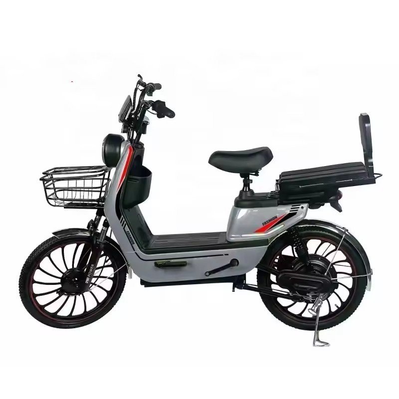 60V 1000W 48V Electric City Bike 20-Inch Steel Frame Adult Electric Bicycle Ebike for Men Bicicleta Electric Scooter