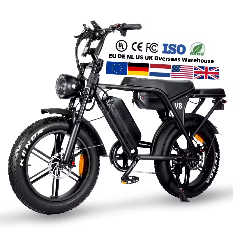 Long Range Fat Tire Dual Batteries Retro Electric Mountain Bike Bicycle 250w 500w 1000w 48v 30ah Ebike China Manufacturer Stock
