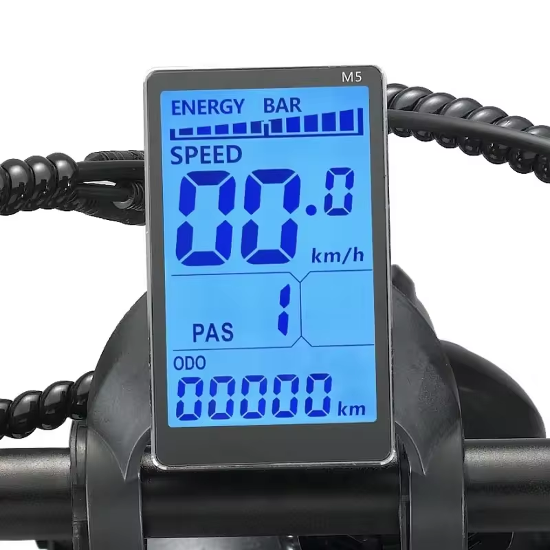 Long Range Fat Tire Dual Batteries Retro Electric Mountain Bike Bicycle 250w 500w 1000w 48v 30ah Ebike China Manufacturer Stock