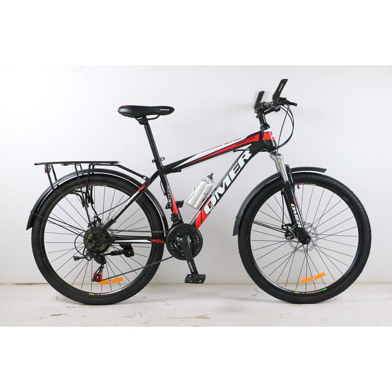 MTB 26 Inch 21 Speed Mountain Bike With Hanger Tandem Bicycle Cargo Rack Rear Seat Mountain Bike