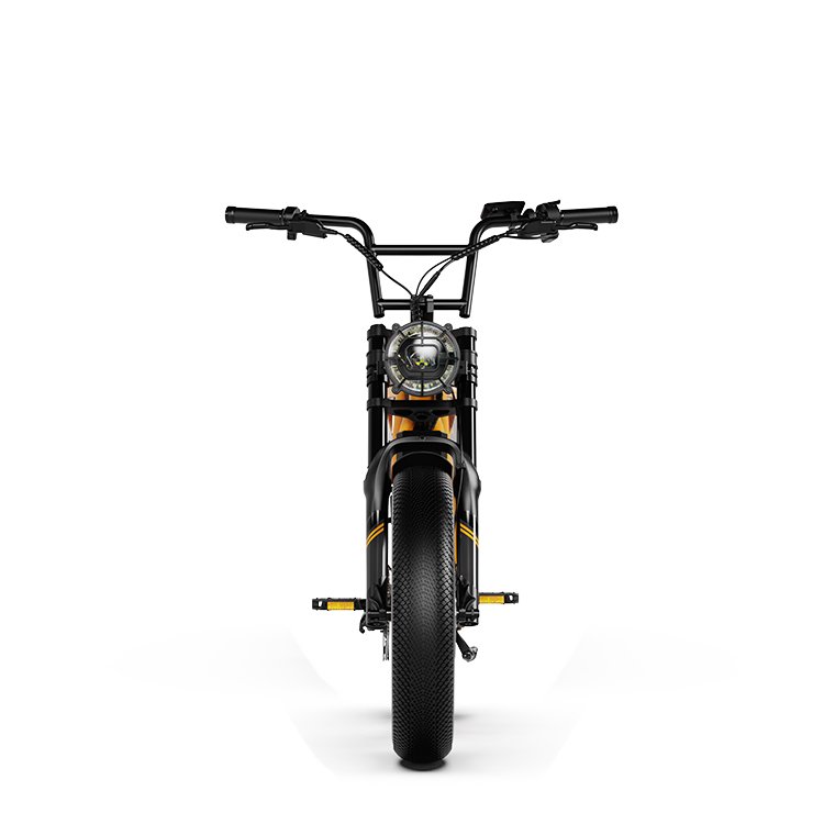Drop Shipping Aluminum Alloy Down Tude Battery 1000W 48V Ebike Fat Tire City Electric Hybrid Bike