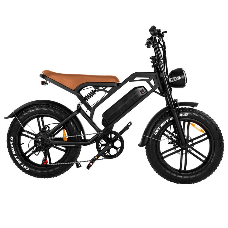 2023 New Design 750W/1000w 48v Rear Hub Motor 20 Inch sukuter electric city bike fatbike v20 electrische