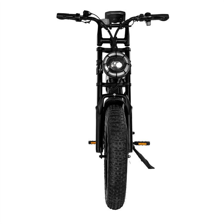 2023 New Design 750W/1000w 48v Rear Hub Motor 20 Inch sukuter electric city bike fatbike v20 electrische