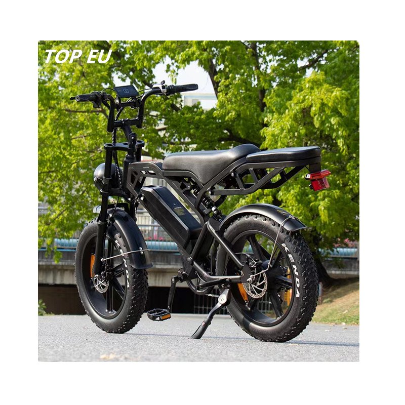 New Bike Fast Mountain Electric Bike 48V Powerful Motorbike Adult Electric Off-Road E Moto Motorcycle Dirt Bike